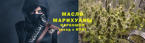 индика Богородск
