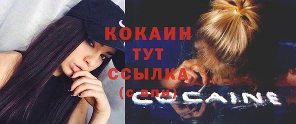 ГАЛЛЮЦИНОГЕННЫЕ ГРИБЫ Богданович