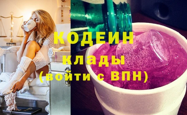 ГАЛЛЮЦИНОГЕННЫЕ ГРИБЫ Богданович
