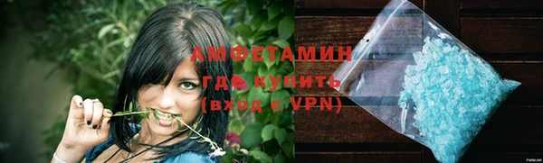 индика Богородск