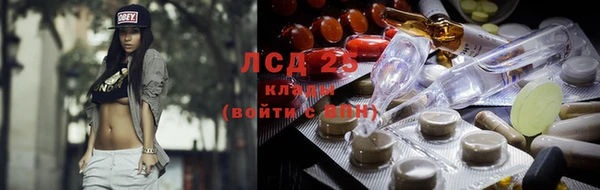 индика Богородск