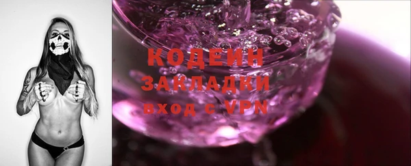 индика Богородск