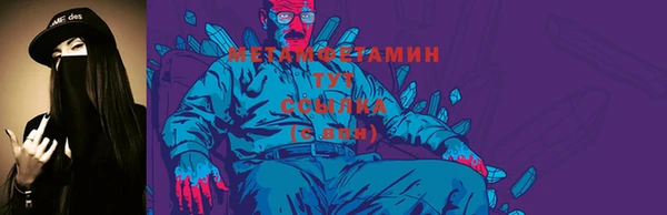 ГАЛЛЮЦИНОГЕННЫЕ ГРИБЫ Богданович