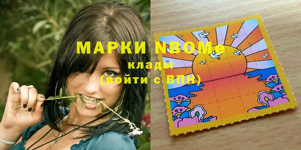индика Богородск
