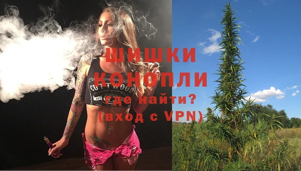 ГАЛЛЮЦИНОГЕННЫЕ ГРИБЫ Богданович
