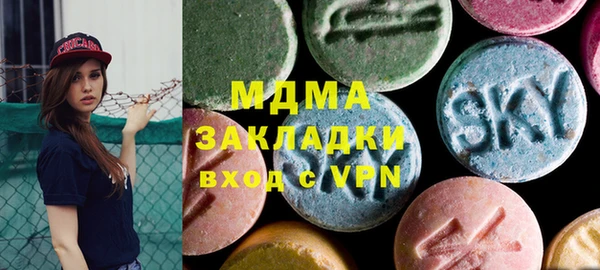 индика Богородск