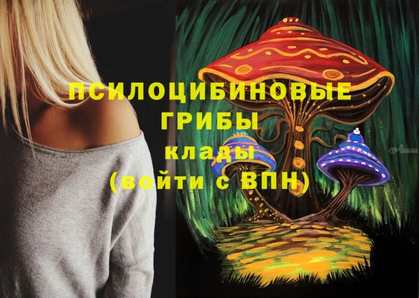 индика Богородск
