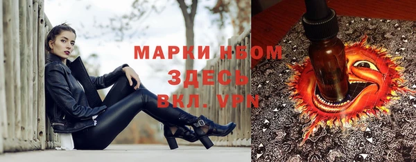индика Богородск