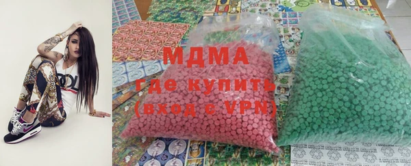 индика Богородск