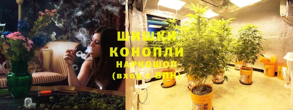 ГАЛЛЮЦИНОГЕННЫЕ ГРИБЫ Богданович