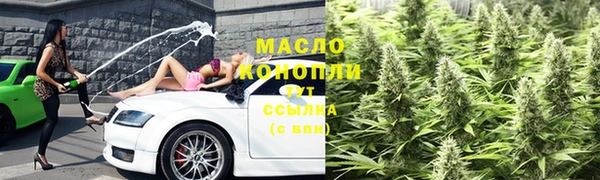 индика Богородск