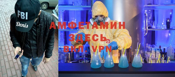 ГАЛЛЮЦИНОГЕННЫЕ ГРИБЫ Богданович