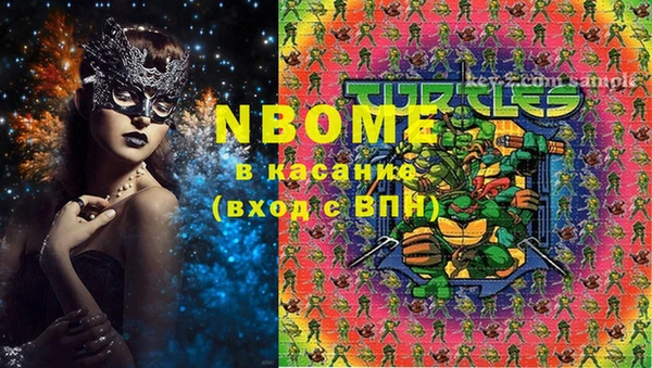 индика Богородск