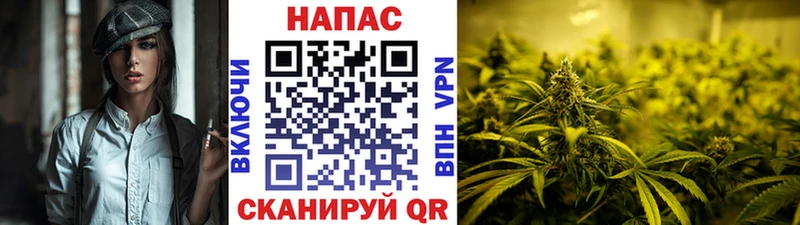 сколько стоит  Чайковский  Марихуана AK-47 